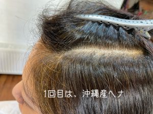 1回目沖縄産ヘナで染めたところ