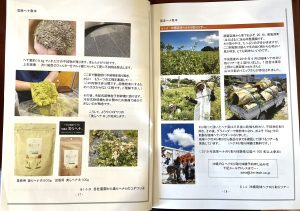 沖縄産ヘナ収穫方法