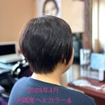 キュビズムカットと沖縄産ヘナカラー